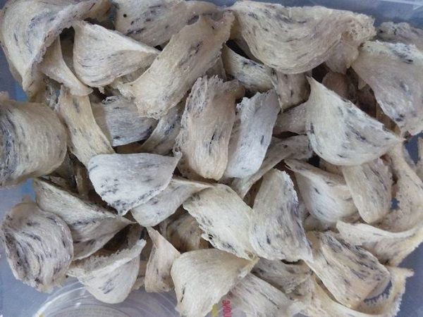 Địa chỉ mua yến sào uy tín, chất lượng tại Bình Dương