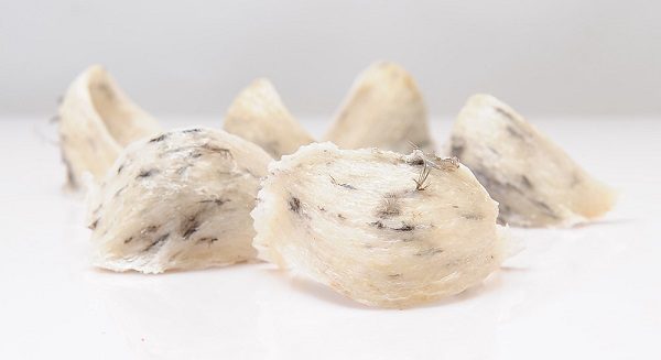 Địa chỉ mua yến sào uy tín, chất lượng tại Bình Dương