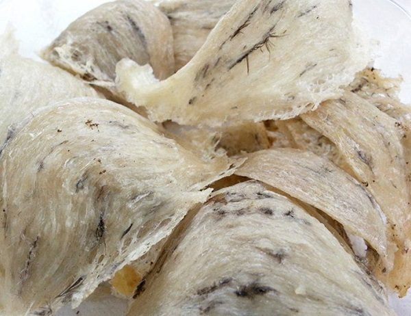 Mua tổ yến - yến sào tại Bình Dương ở đâu chất lượng, giá tốt ?